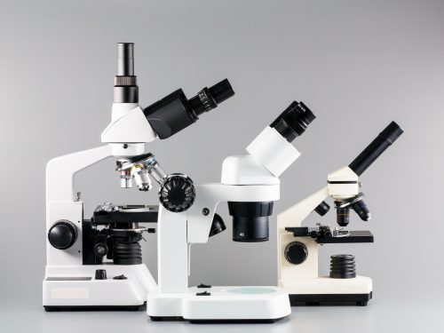 Die Okularanzahl an Mikroskopen variiert
